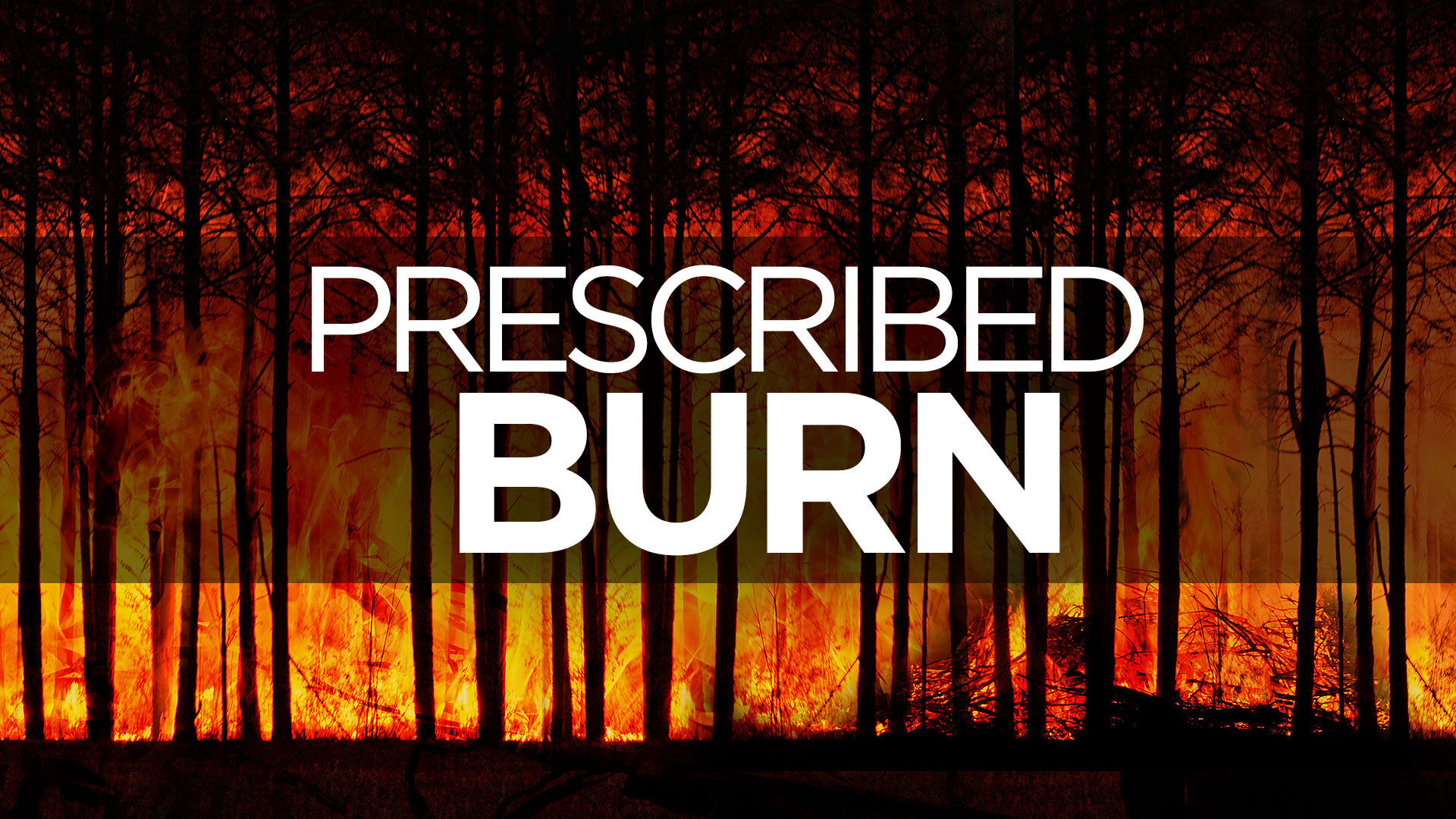 Prescribed burn set for North Chickamauga Creek Wildlife Management Area
